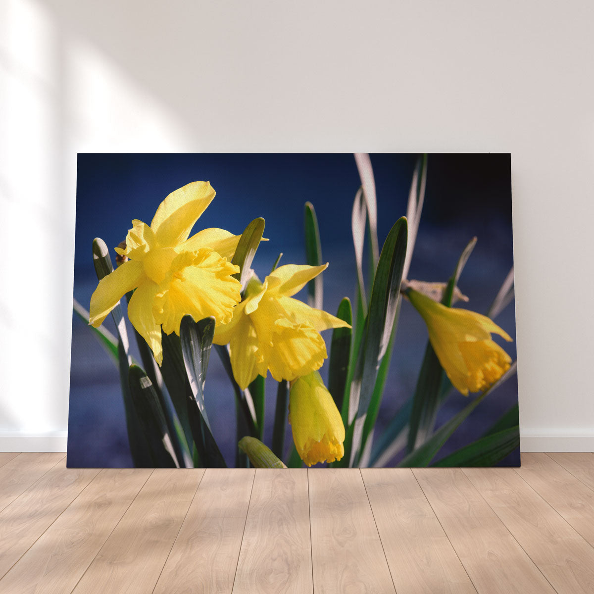 Spring Bloom