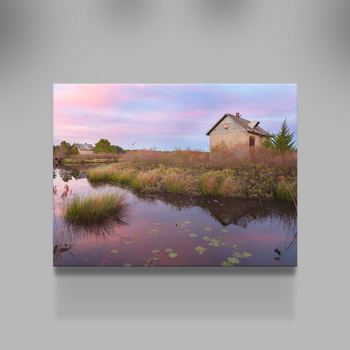 Spring in the Bogs Wall Art