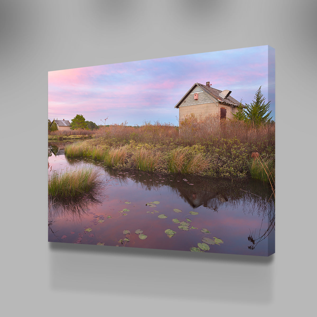 Spring in the Bogs Wall Art