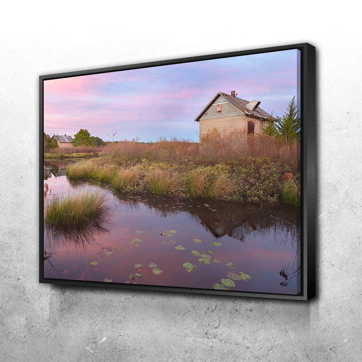Spring in the Bogs Wall Art