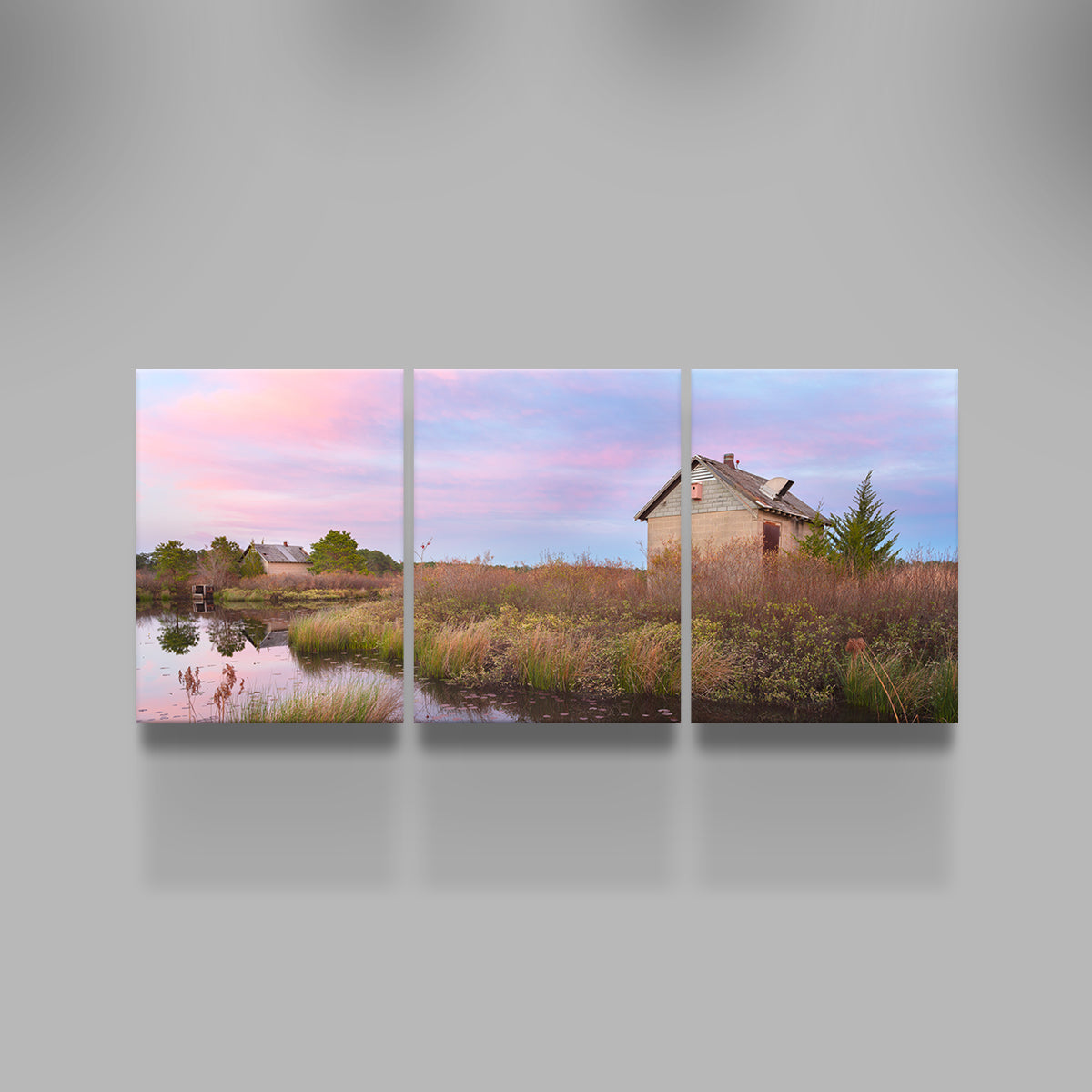 Spring in the Bogs Wall Art