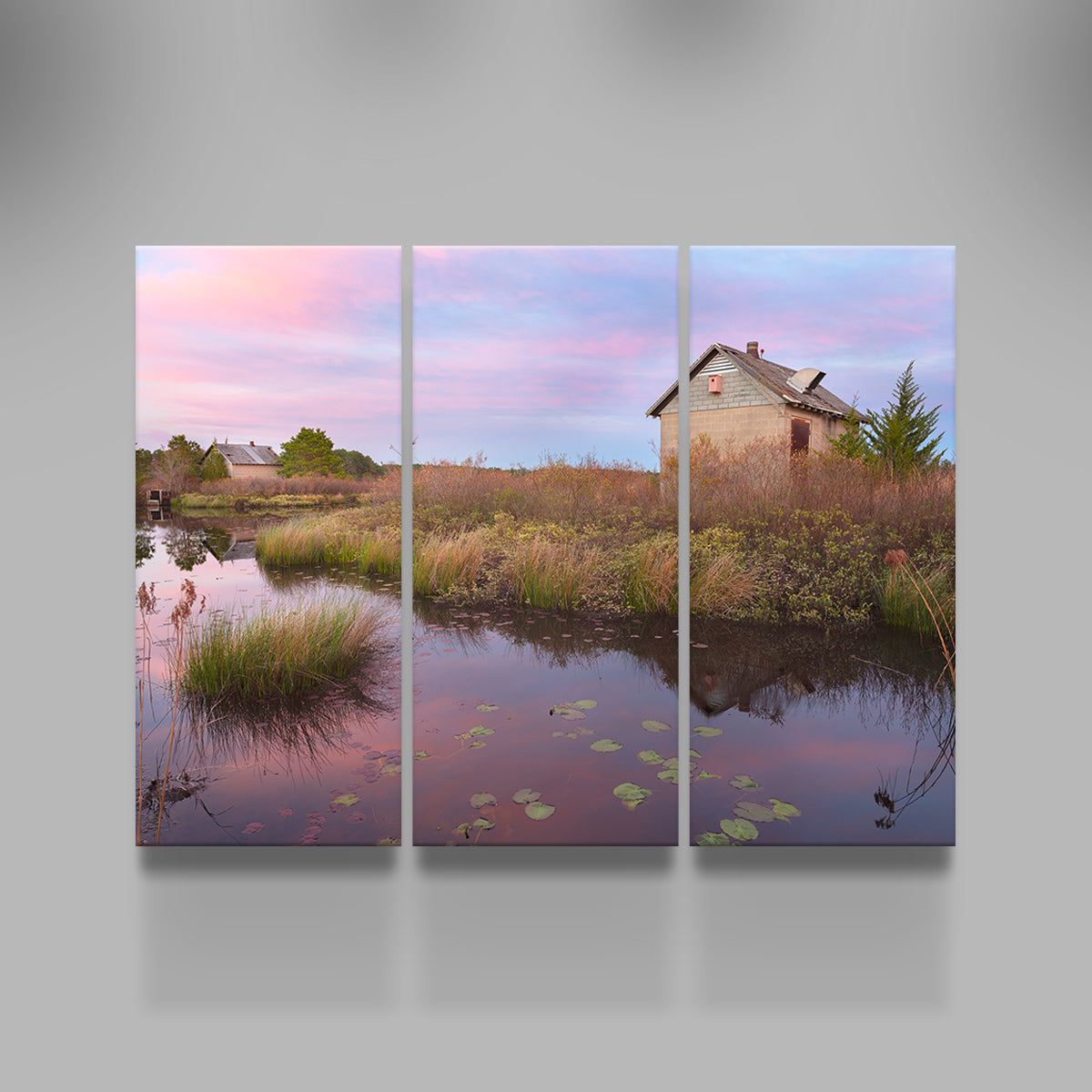 Spring in the Bogs Wall Art