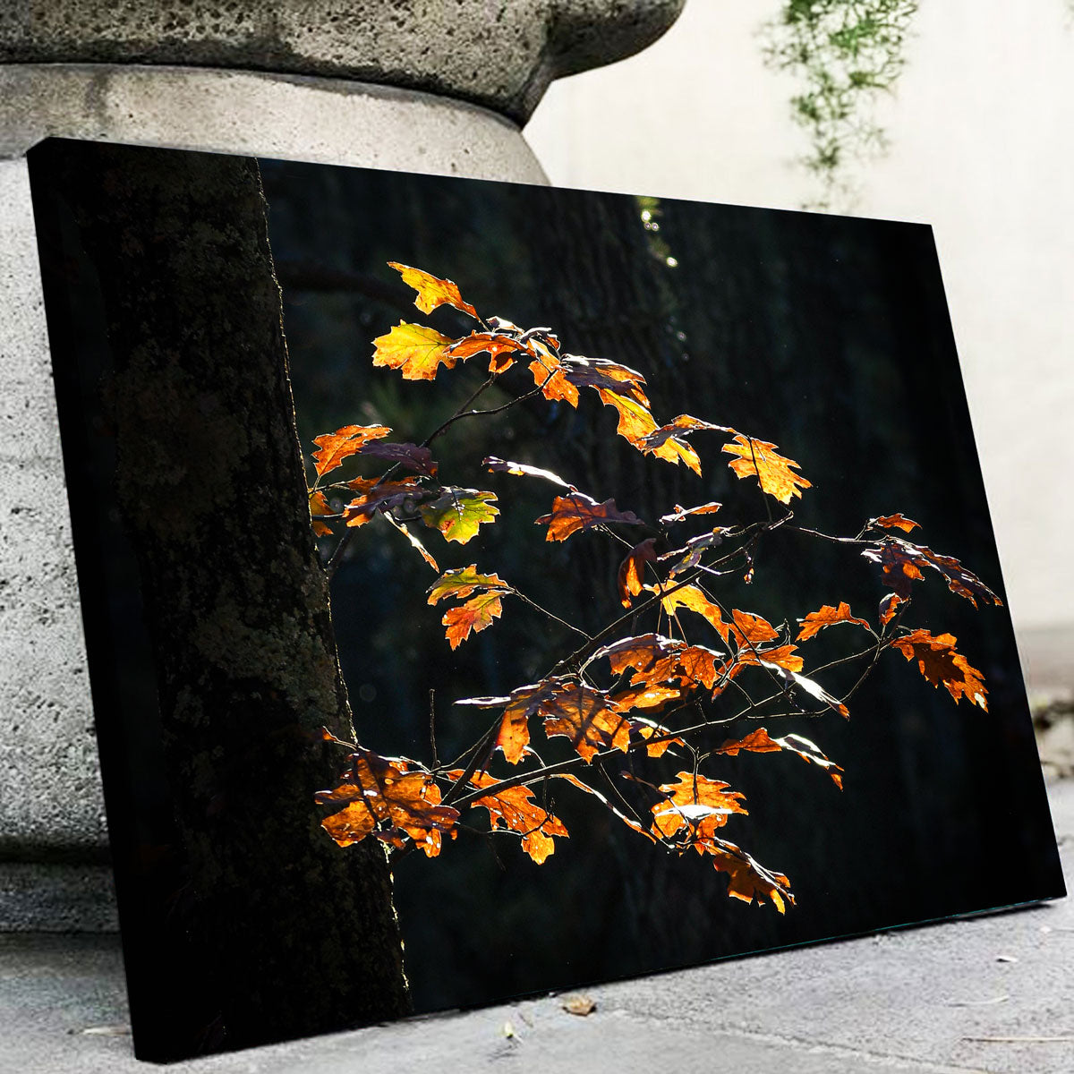 Sprout of Life Wall Art