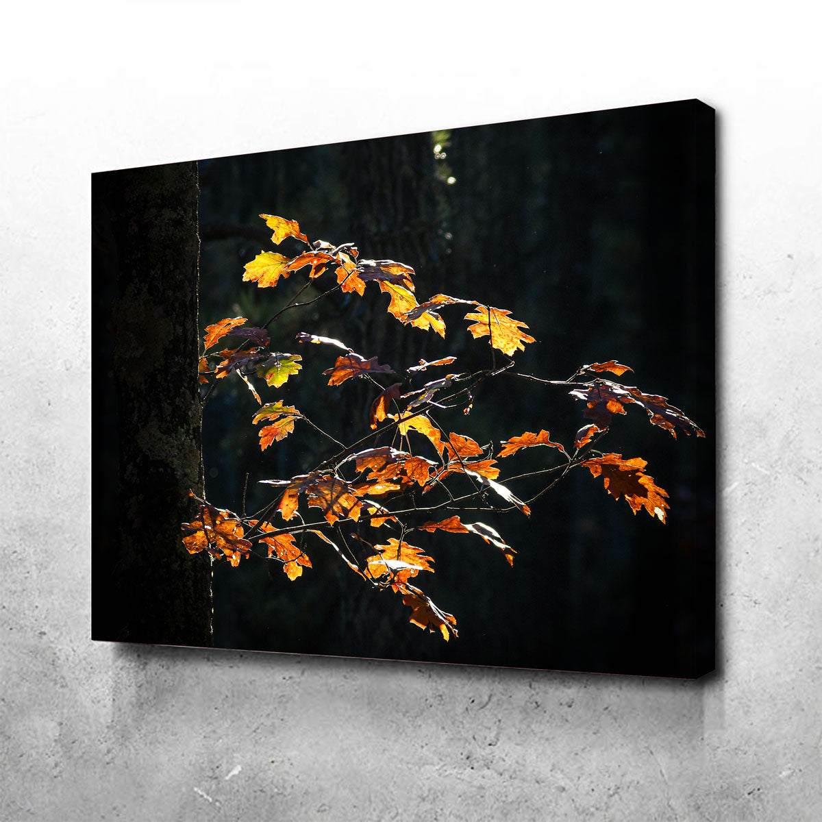 Sprout of Life Wall Art