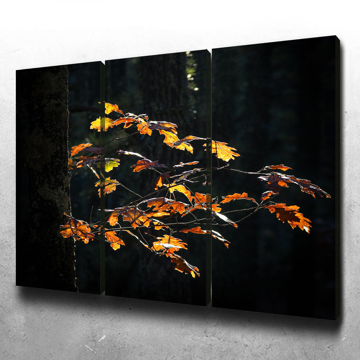 Sprout of Life Wall Art