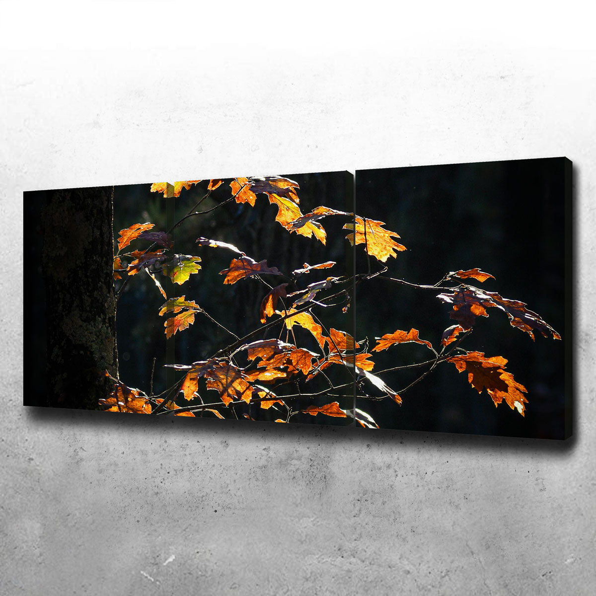 Sprout of Life Wall Art