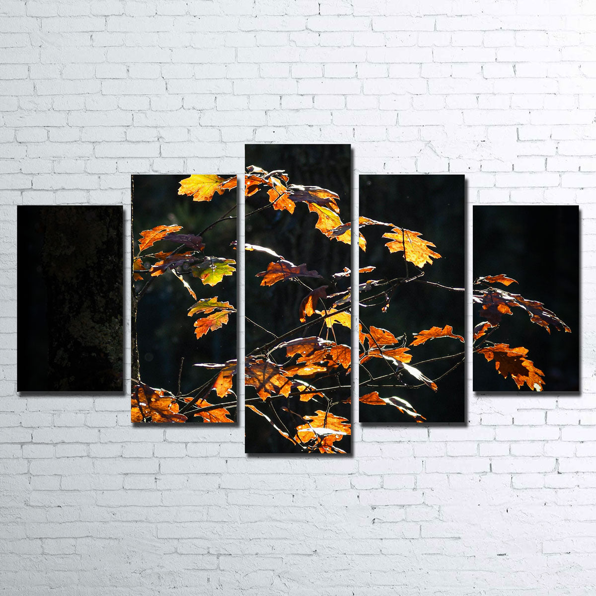 Sprout of Life Wall Art