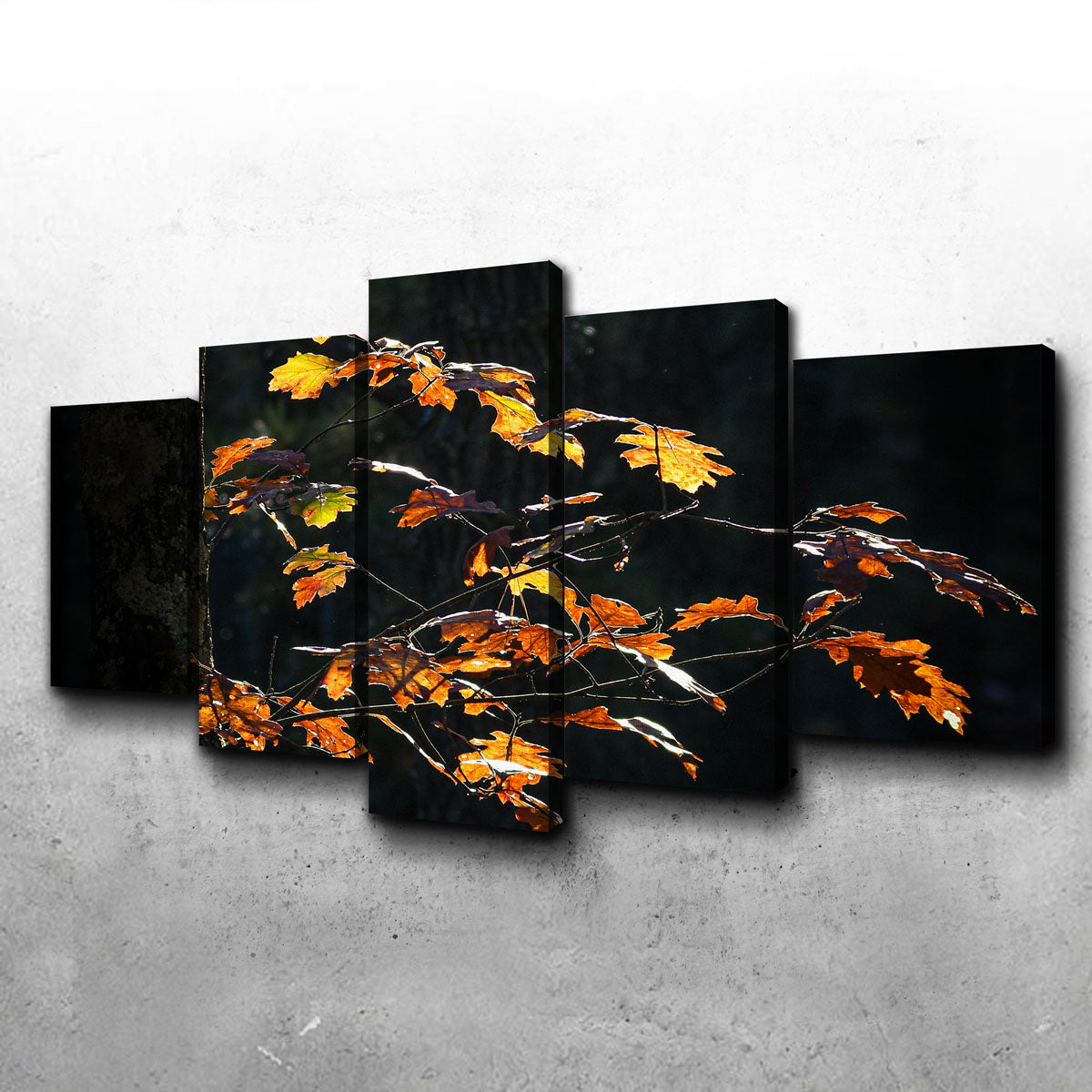 Sprout of Life Wall Art
