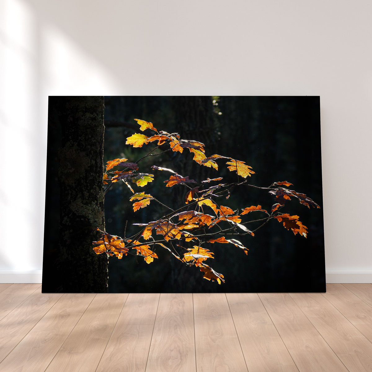 Sprout of Life Wall Art