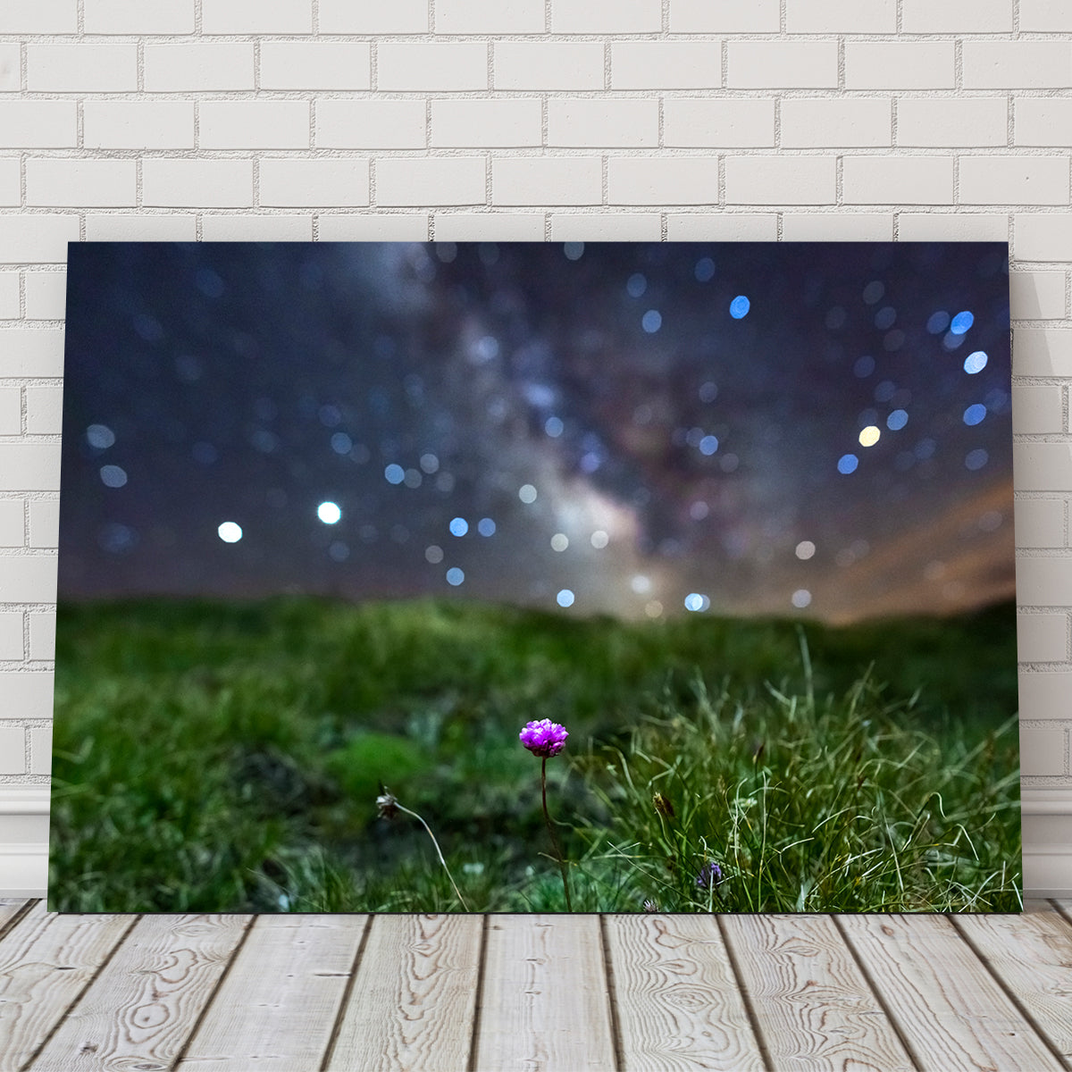 Star Studded Armérie Wall Art