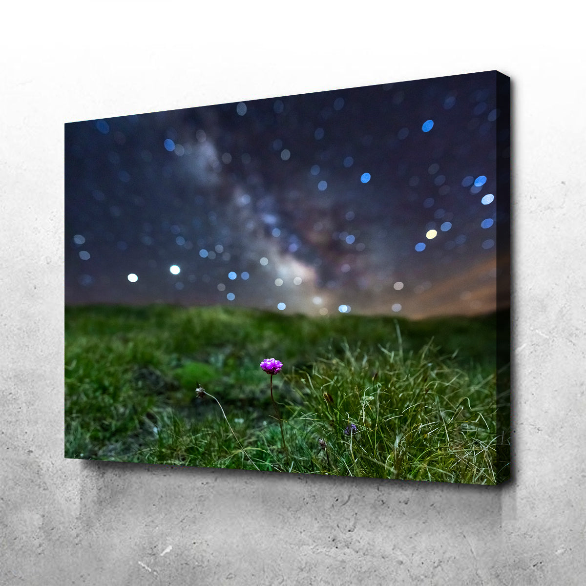 Star Studded Armérie Wall Art