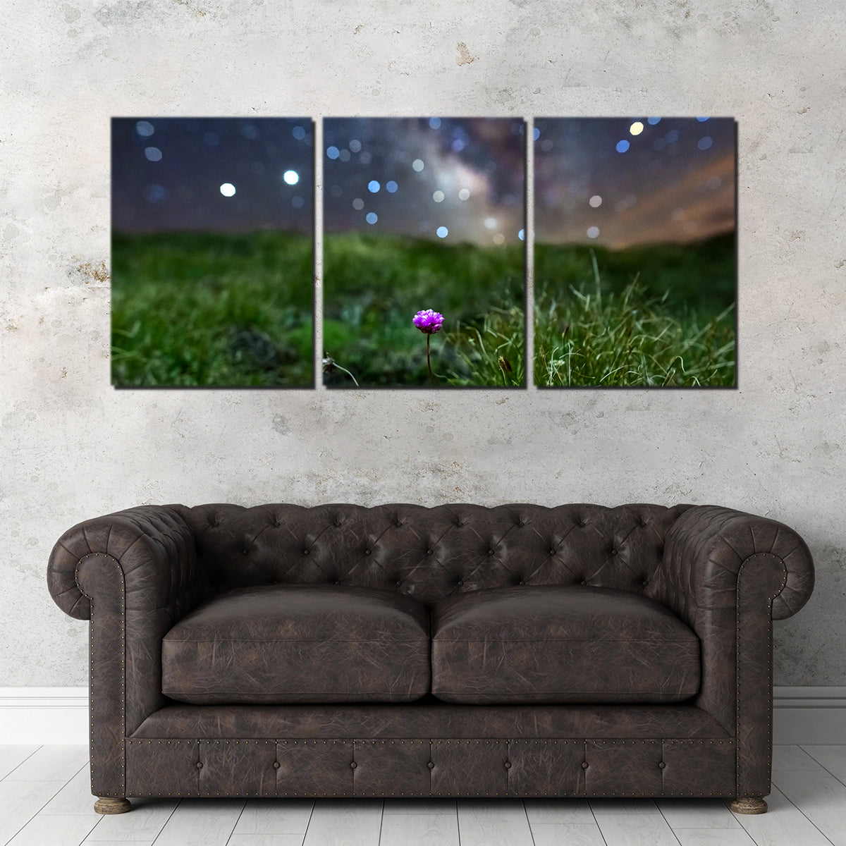 Star Studded Armérie Wall Art