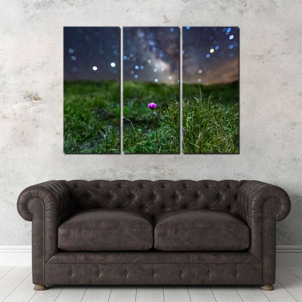 Star Studded Armérie Wall Art