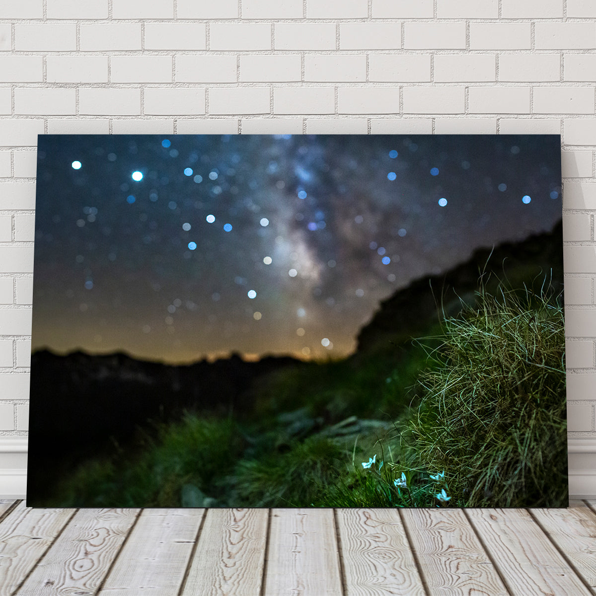Star Studded Edelweiss Wall Art