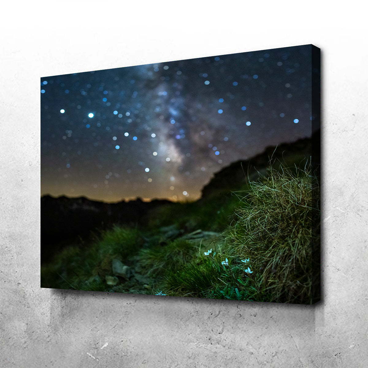 Star Studded Edelweiss Wall Art