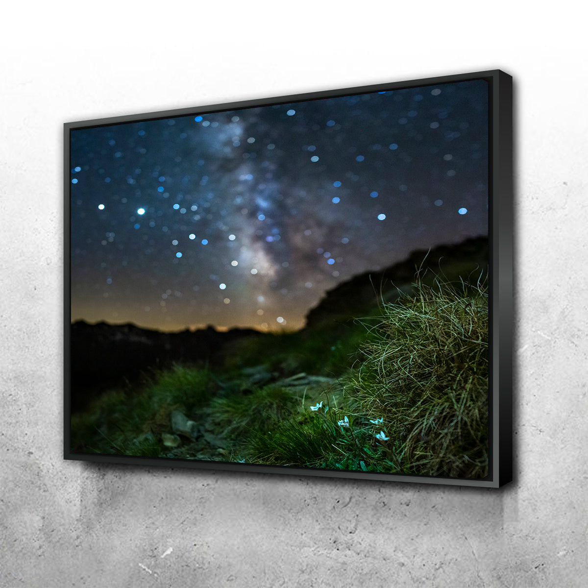 Star Studded Edelweiss Wall Art