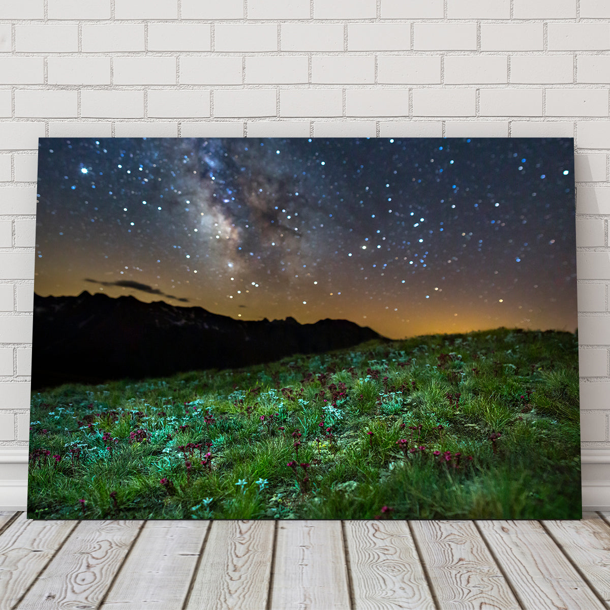 Star Studded Edelweiss and Joubarbe Wall Art