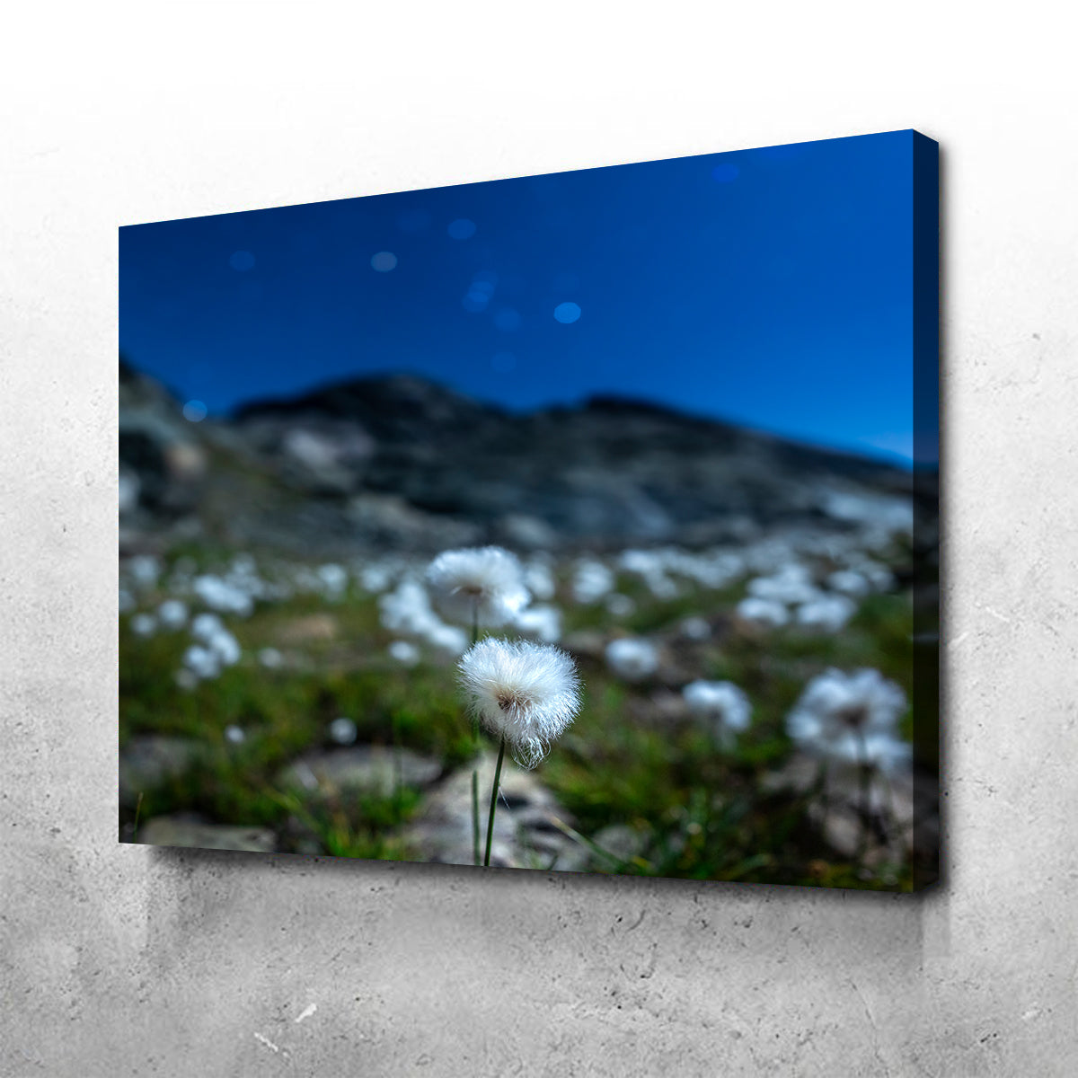 Star Studded Linaigrette Wall Art