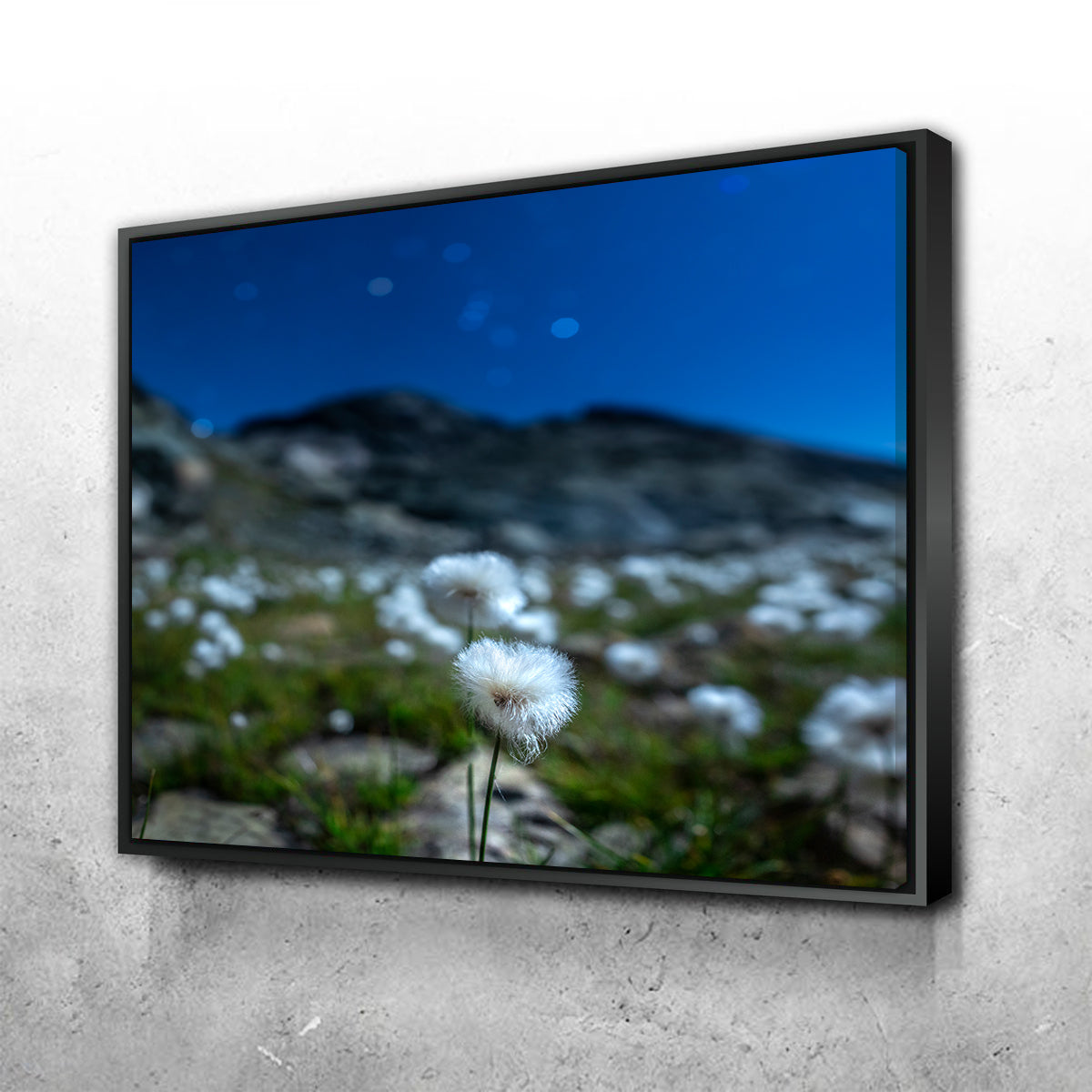 Star Studded Linaigrette Wall Art