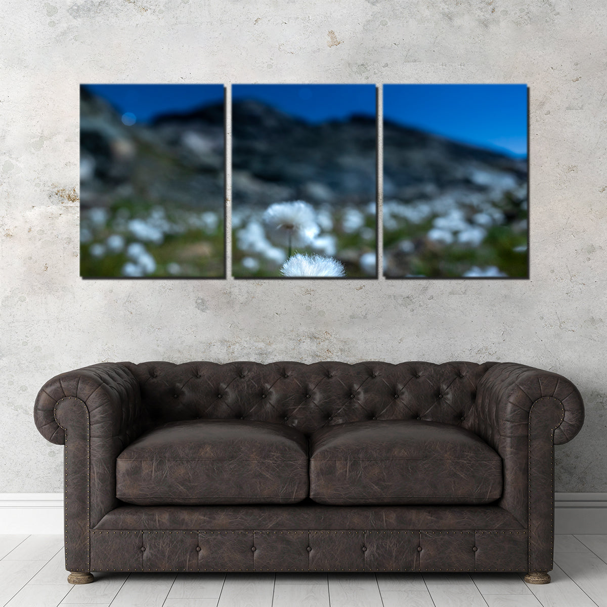 Star Studded Linaigrette Wall Art