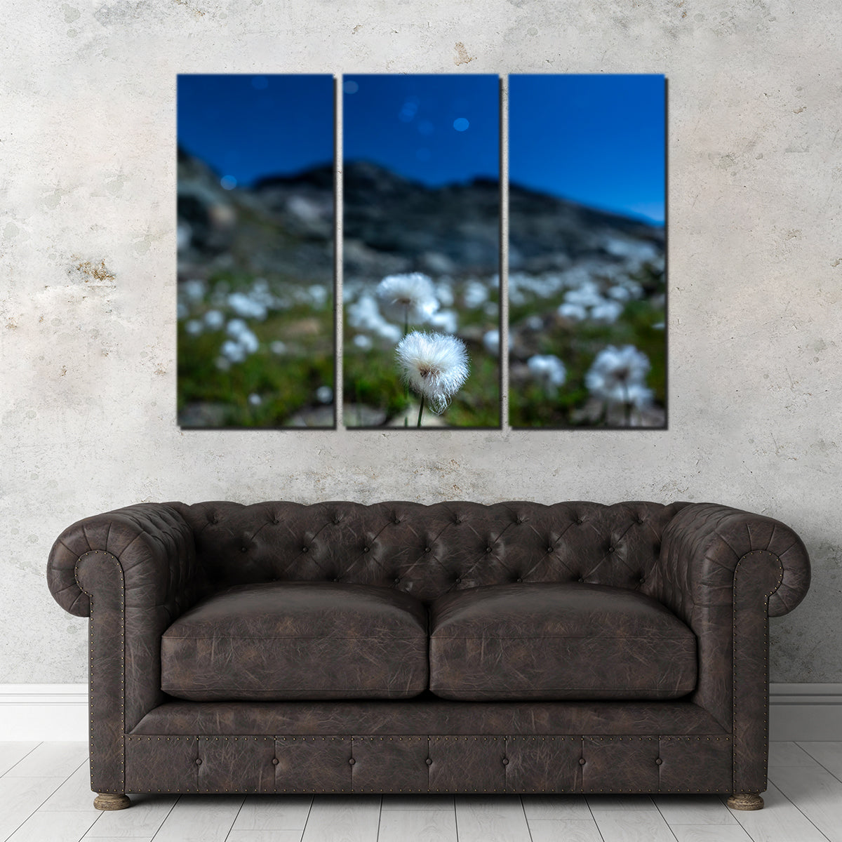 Star Studded Linaigrette Wall Art