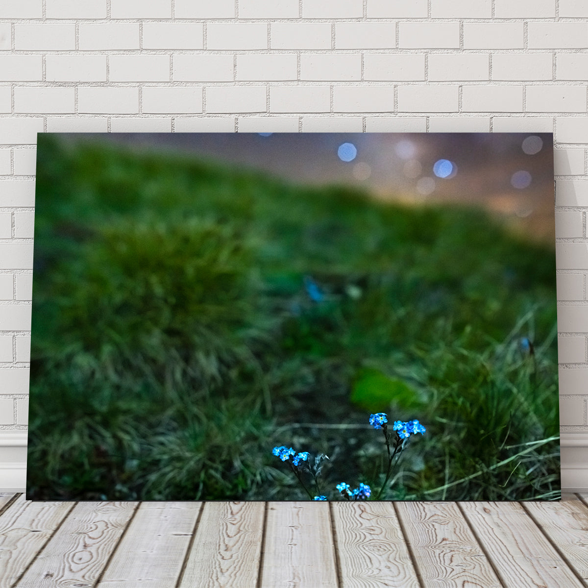 Star Studded Myosotis Wall Art