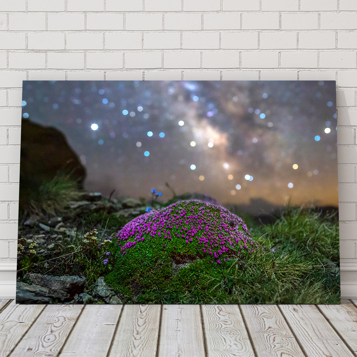 Star Studded Silène Wall Art