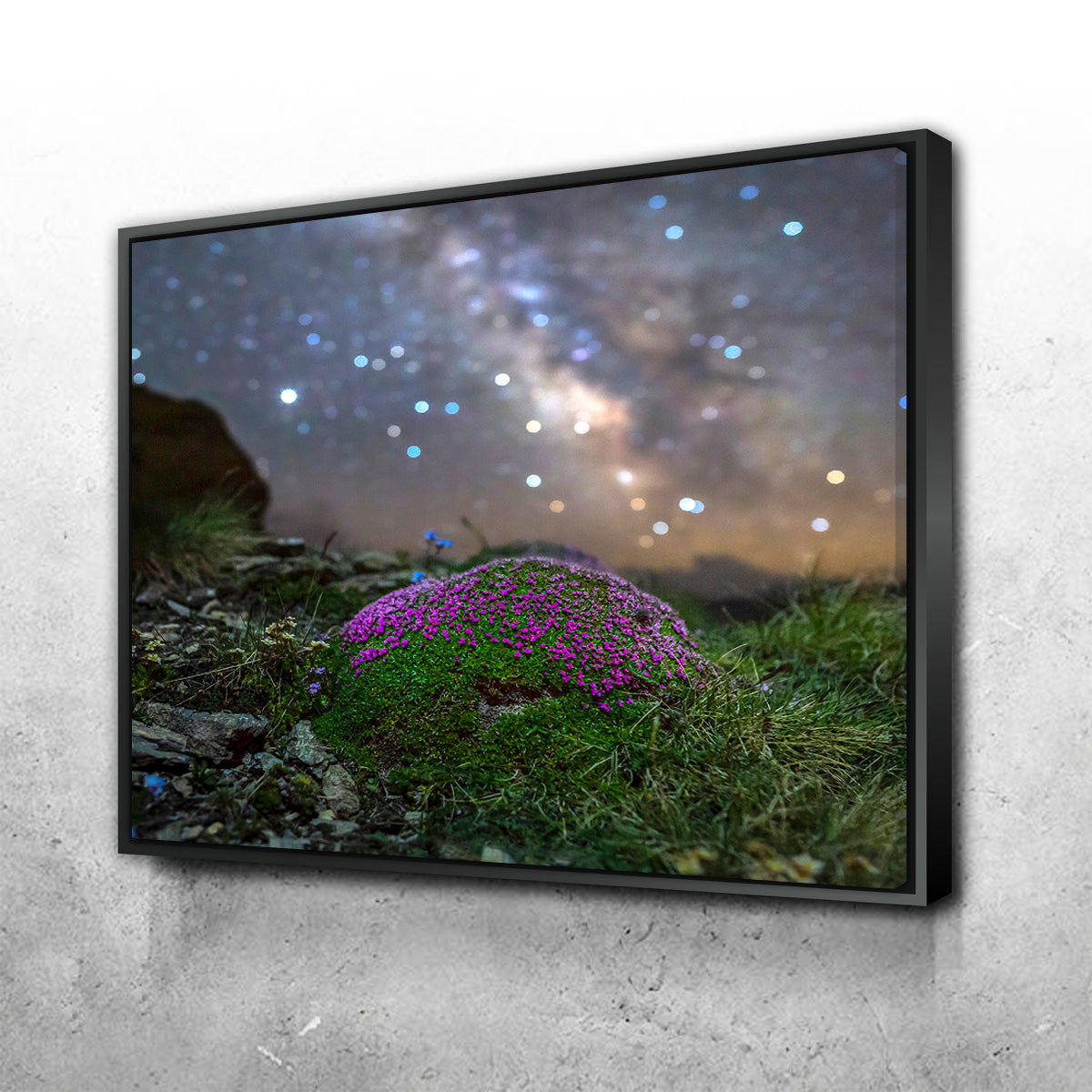 Star Studded Silène Wall Art