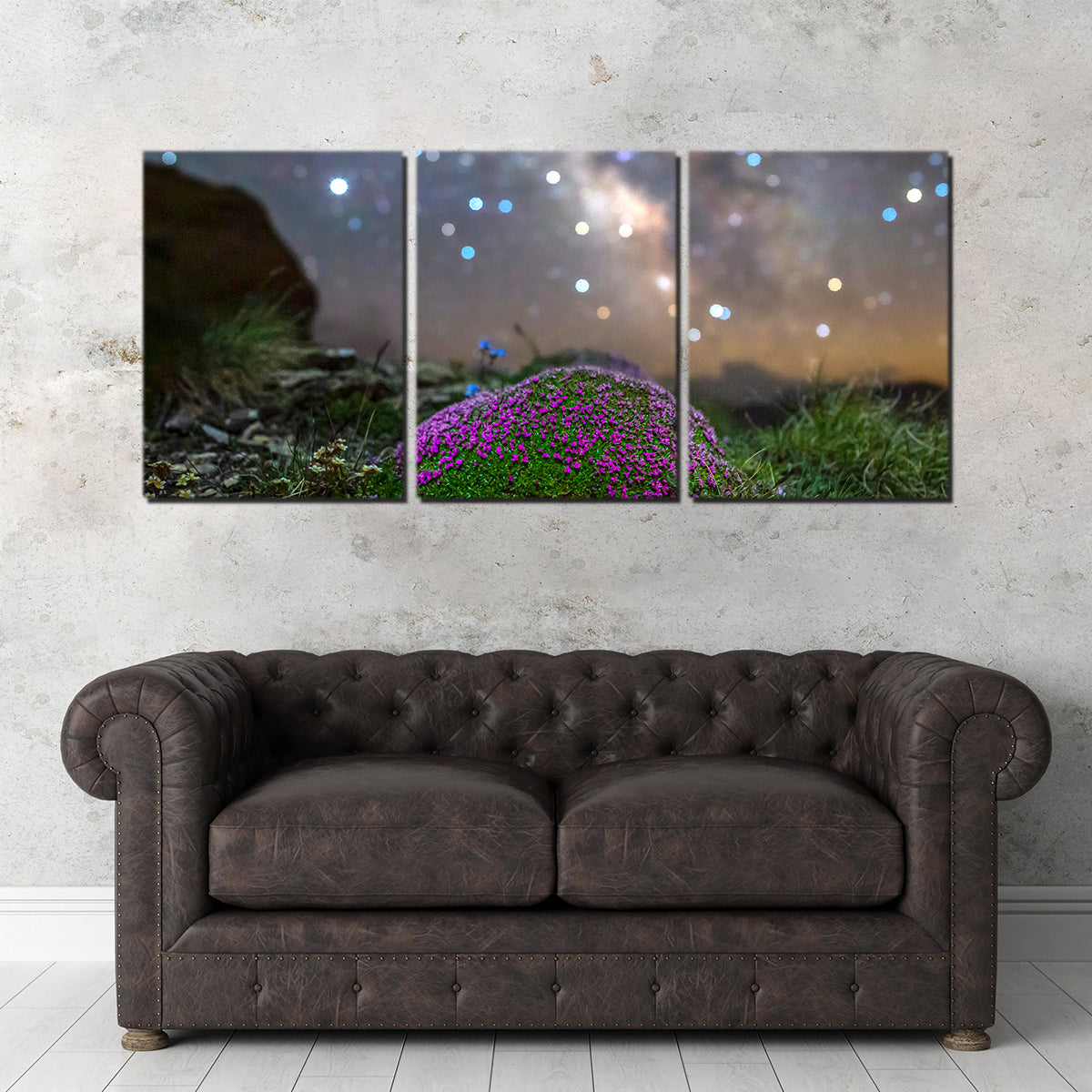 Star Studded Silène Wall Art