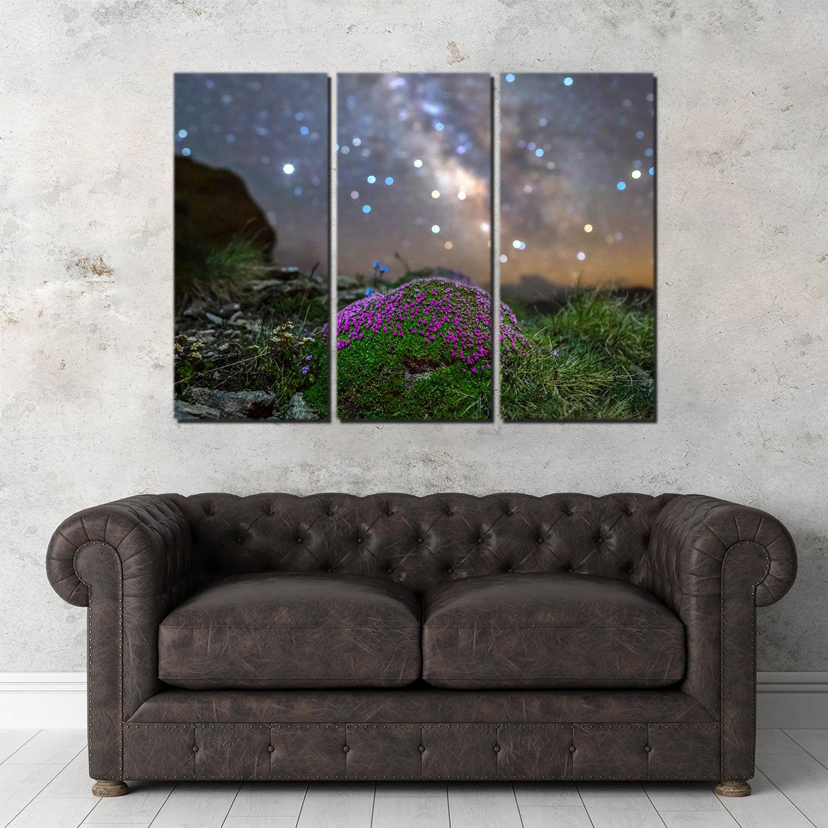 Star Studded Silène Wall Art