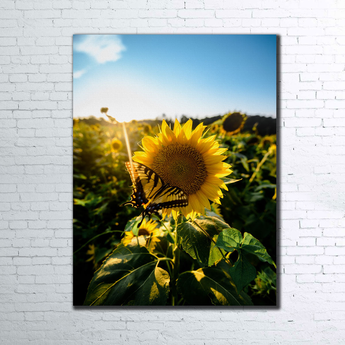 Sunflower Love Wall Art