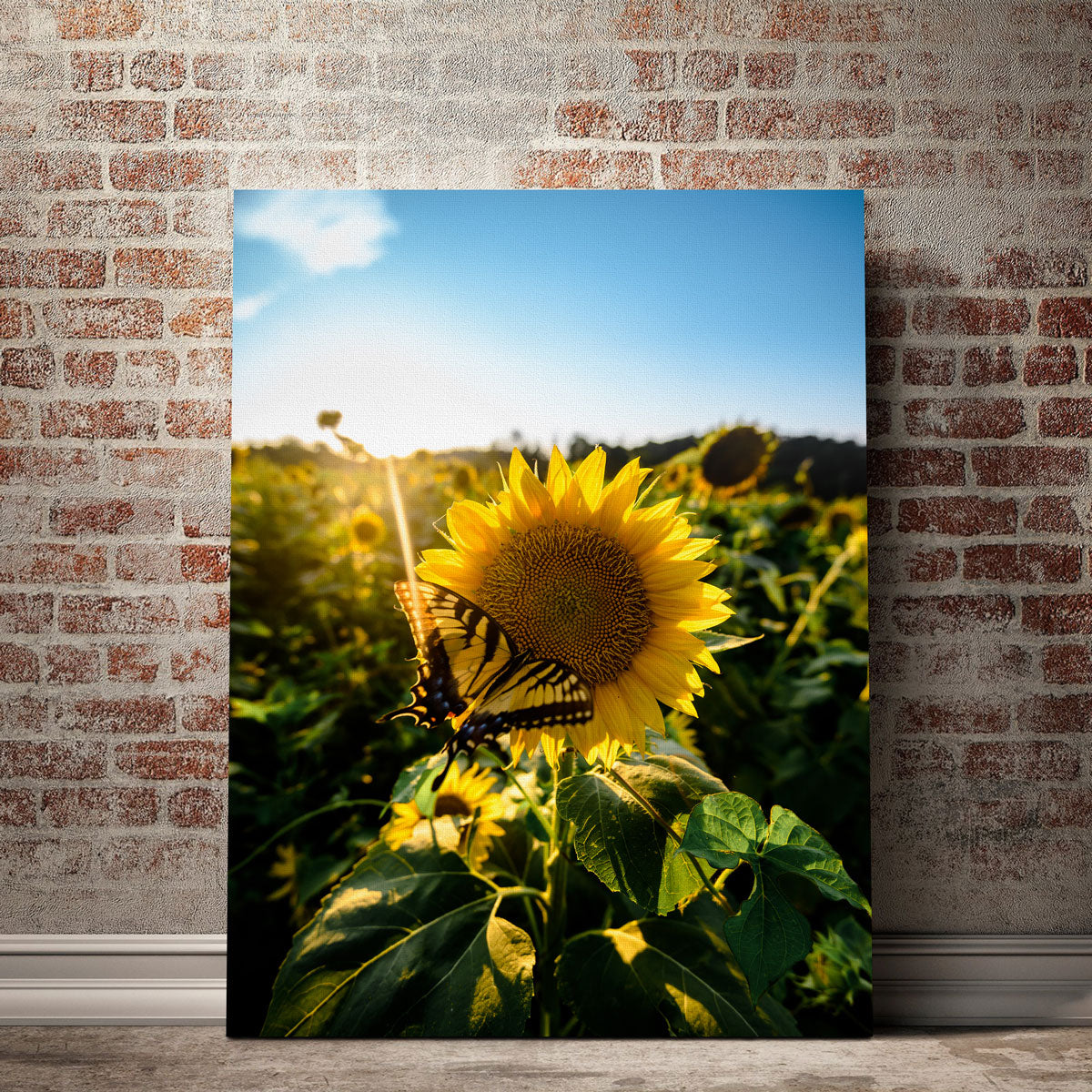 Sunflower Love Wall Art