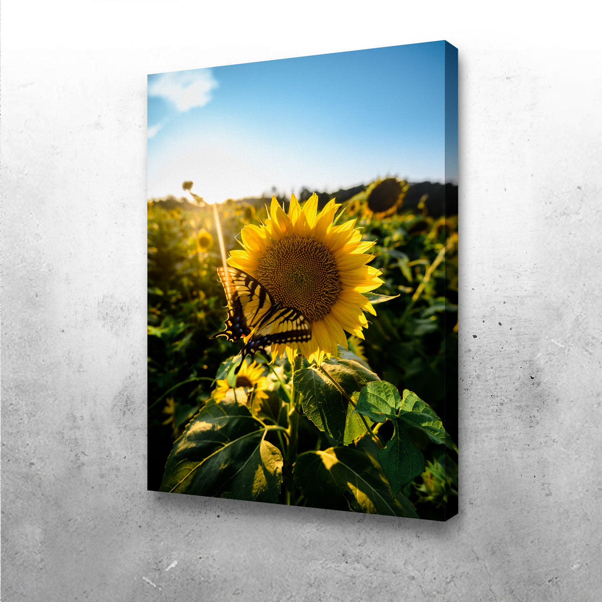 Sunflower Love Wall Art
