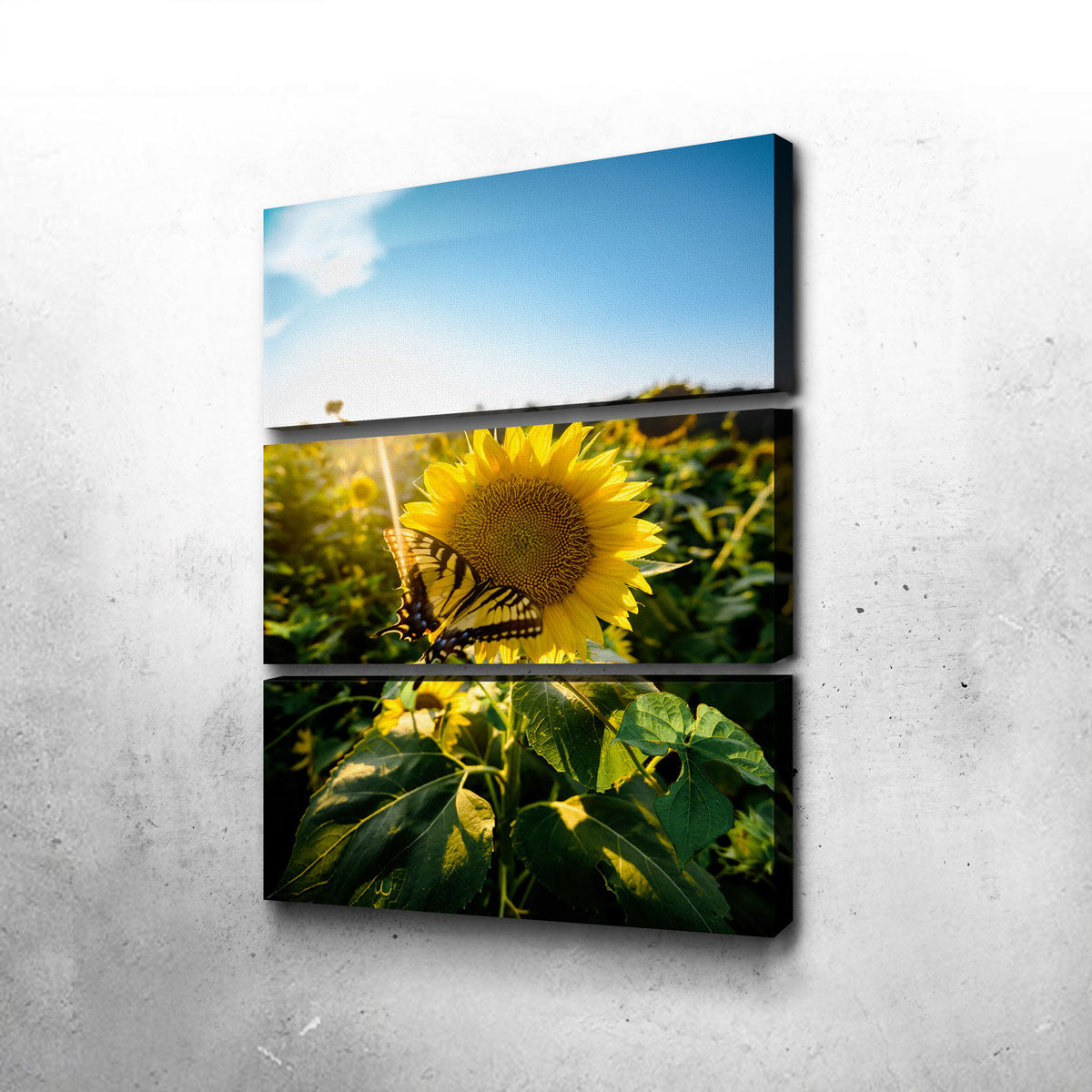 Sunflower Love Wall Art