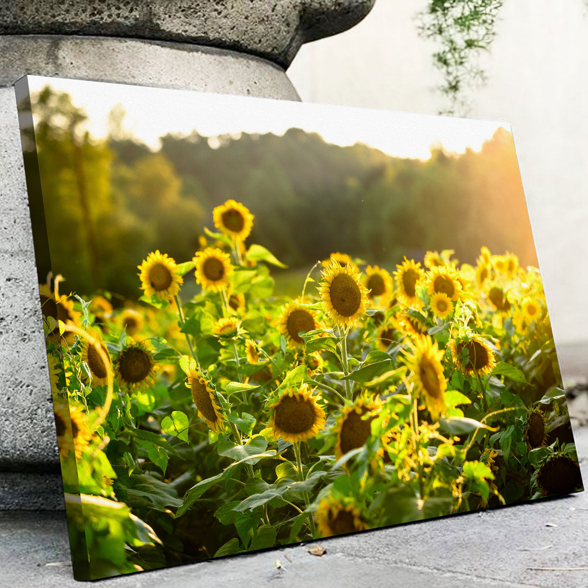Sunflower Sunshine Wall Art