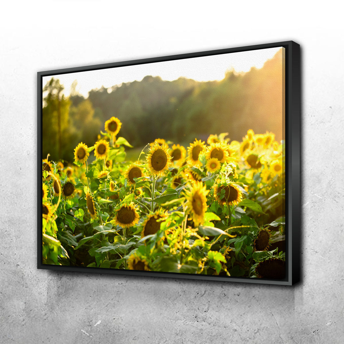 Sunflower Sunshine Wall Art