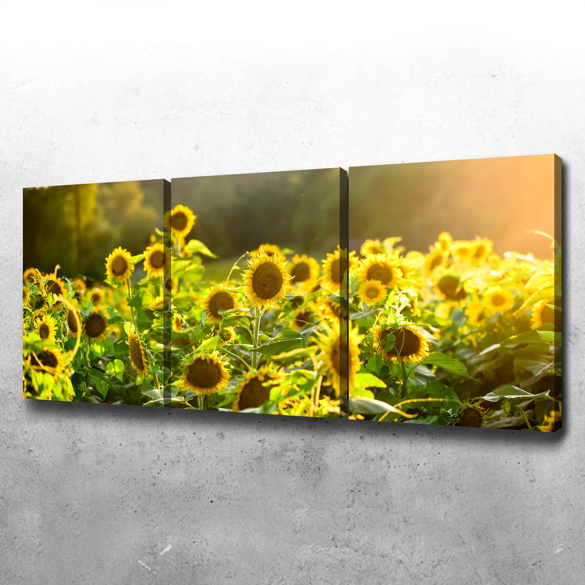 Sunflower Sunshine Wall Art