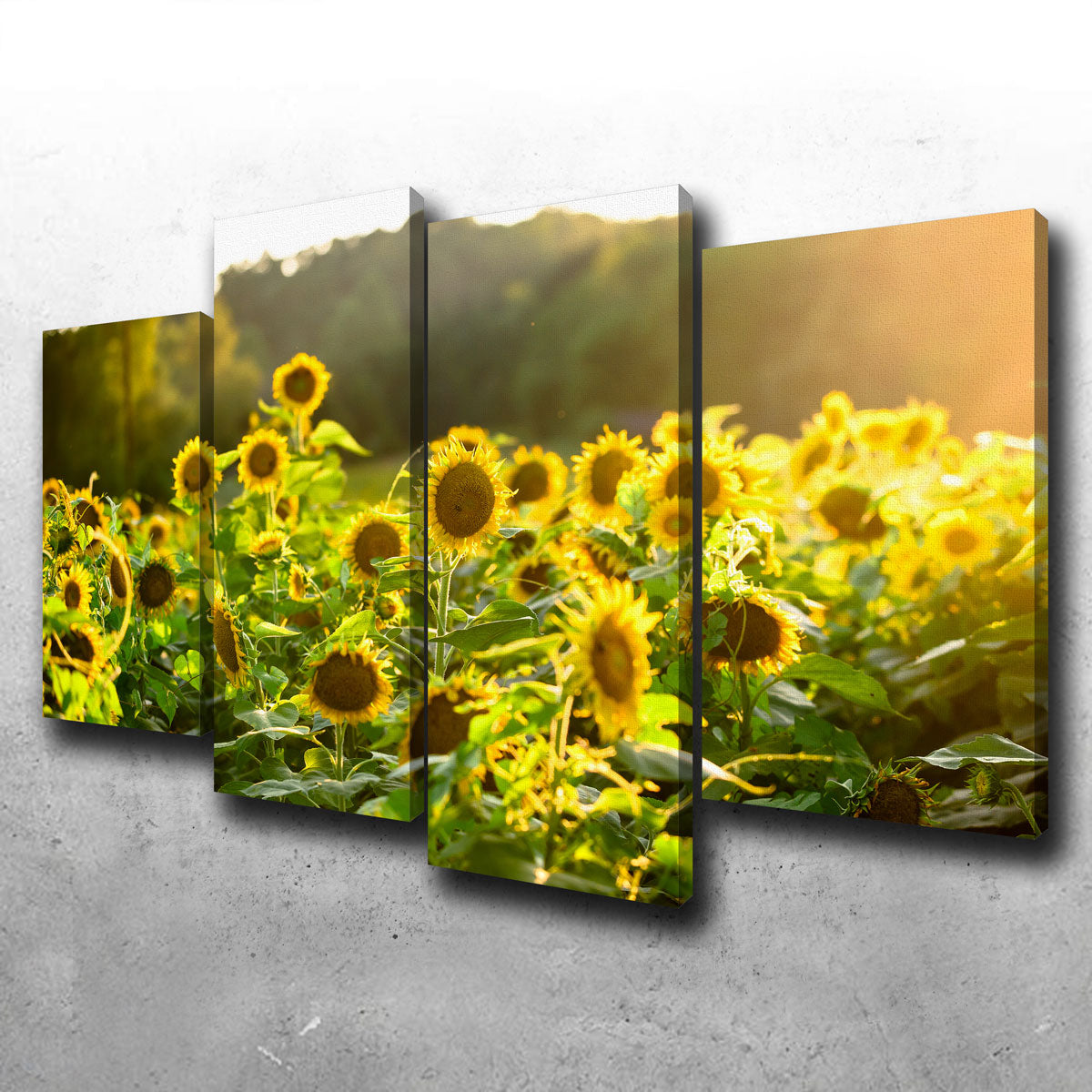 Sunflower Sunshine Wall Art