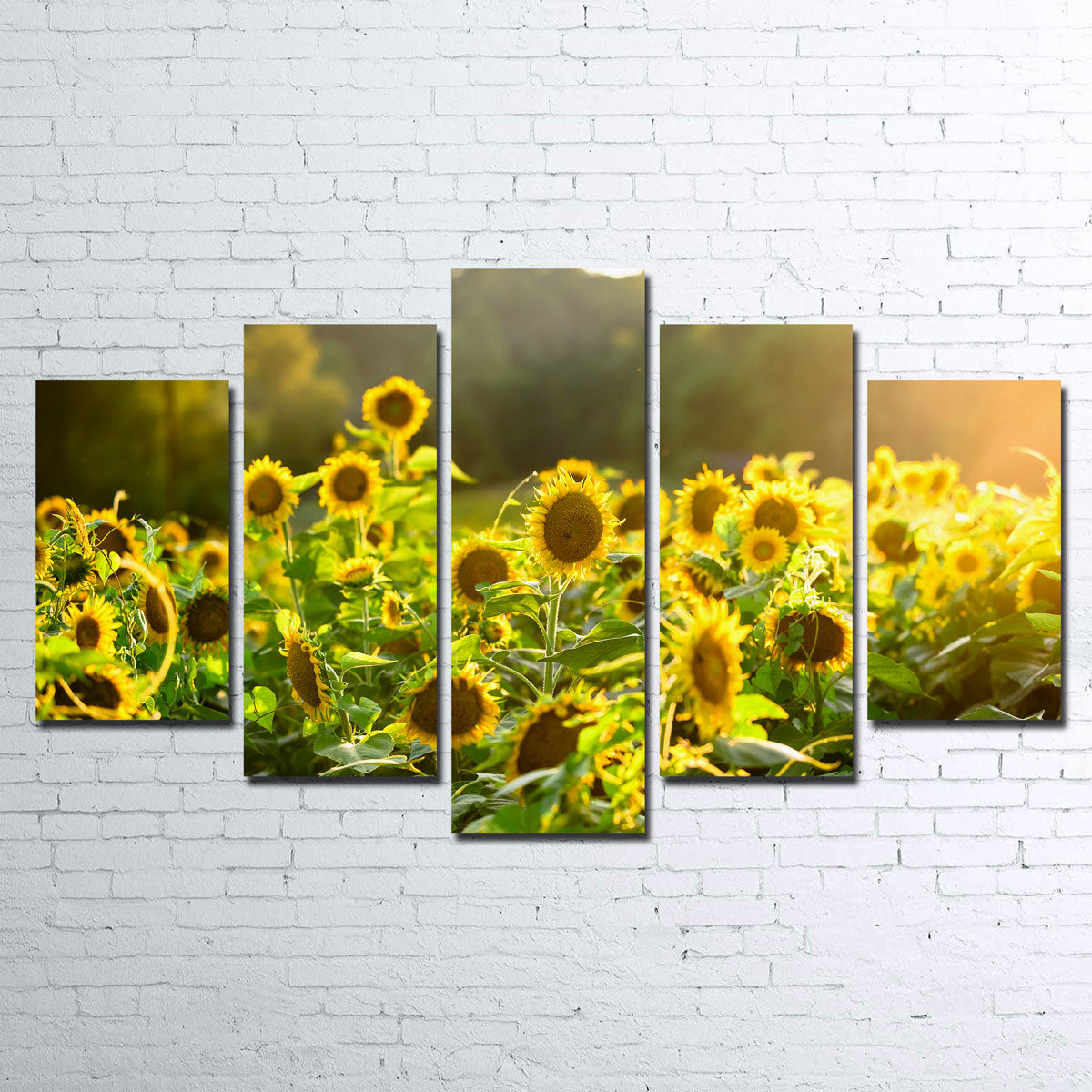 Sunflower Sunshine Wall Art