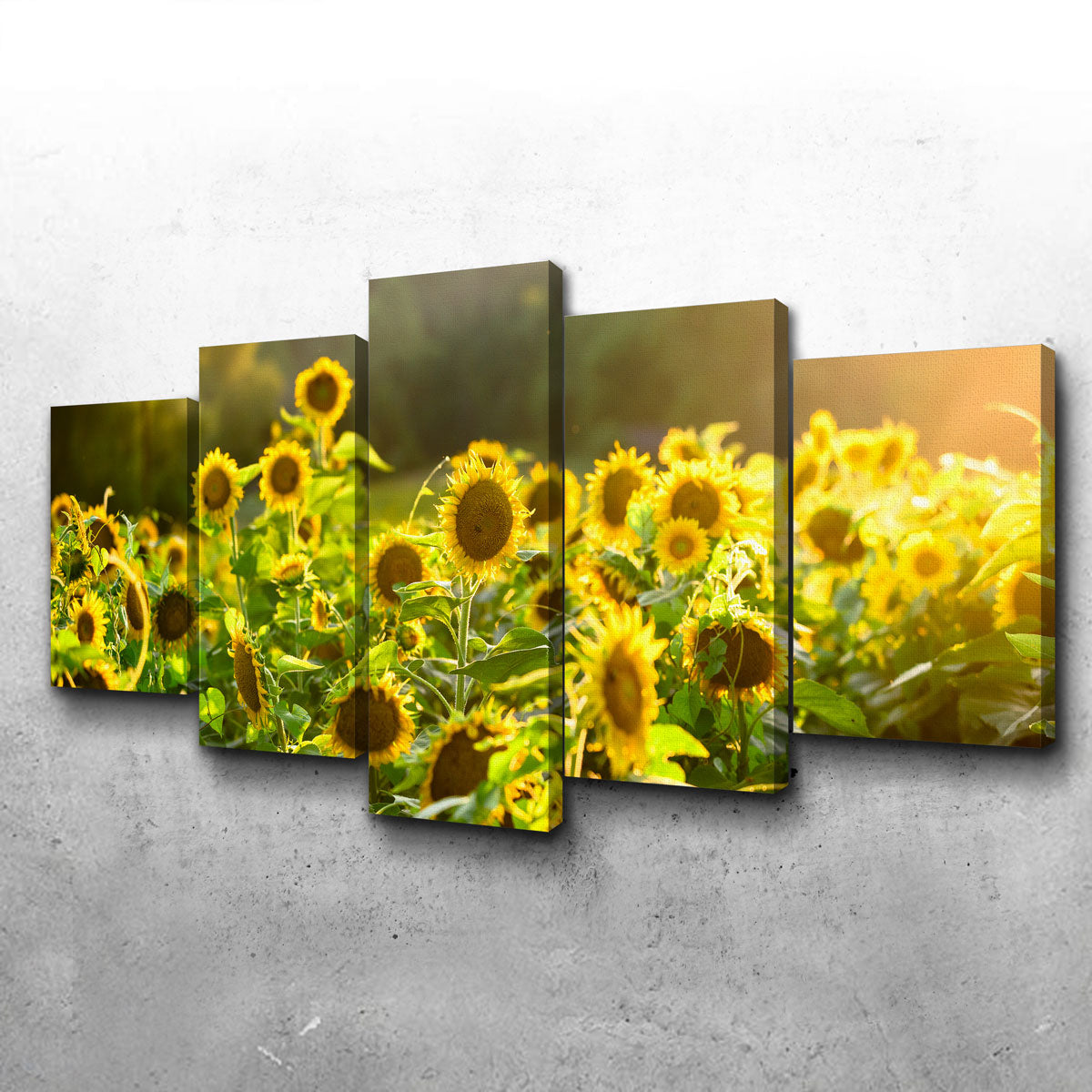 Sunflower Sunshine Wall Art