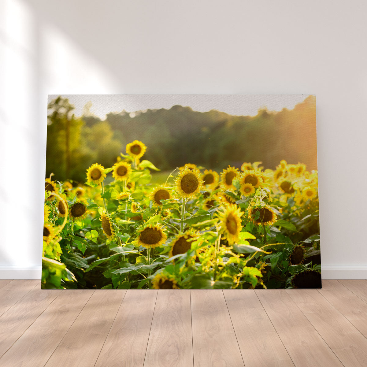 Sunflower Sunshine Wall Art