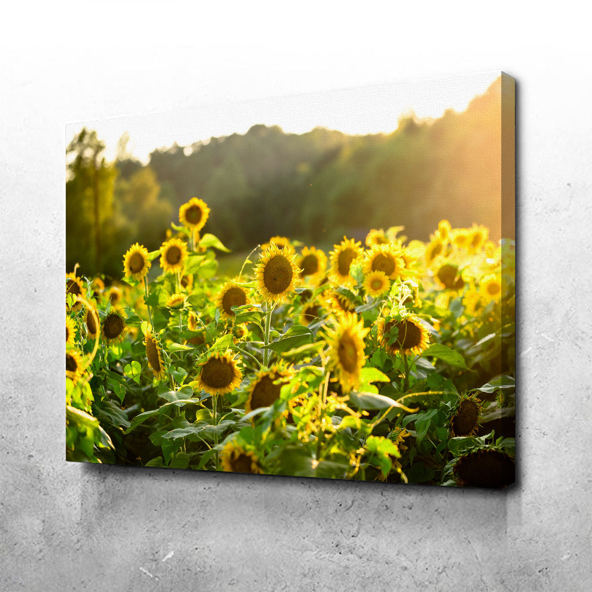 Sunflower Sunshine Wall Art