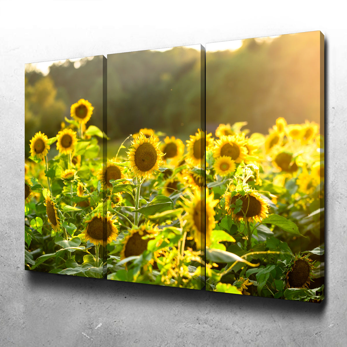 Sunflower Sunshine Wall Art