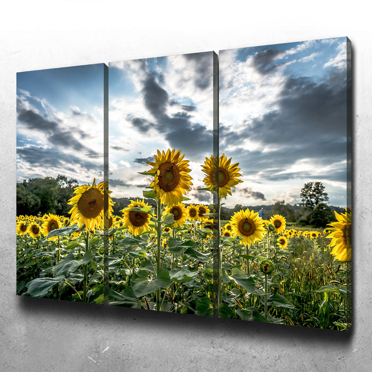 Sunflowers Wall Art