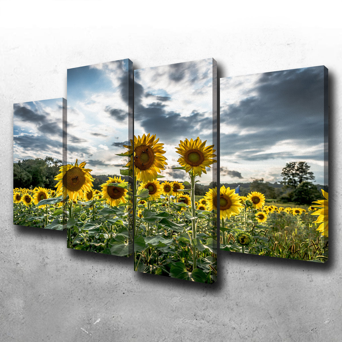 Sunflowers Wall Art