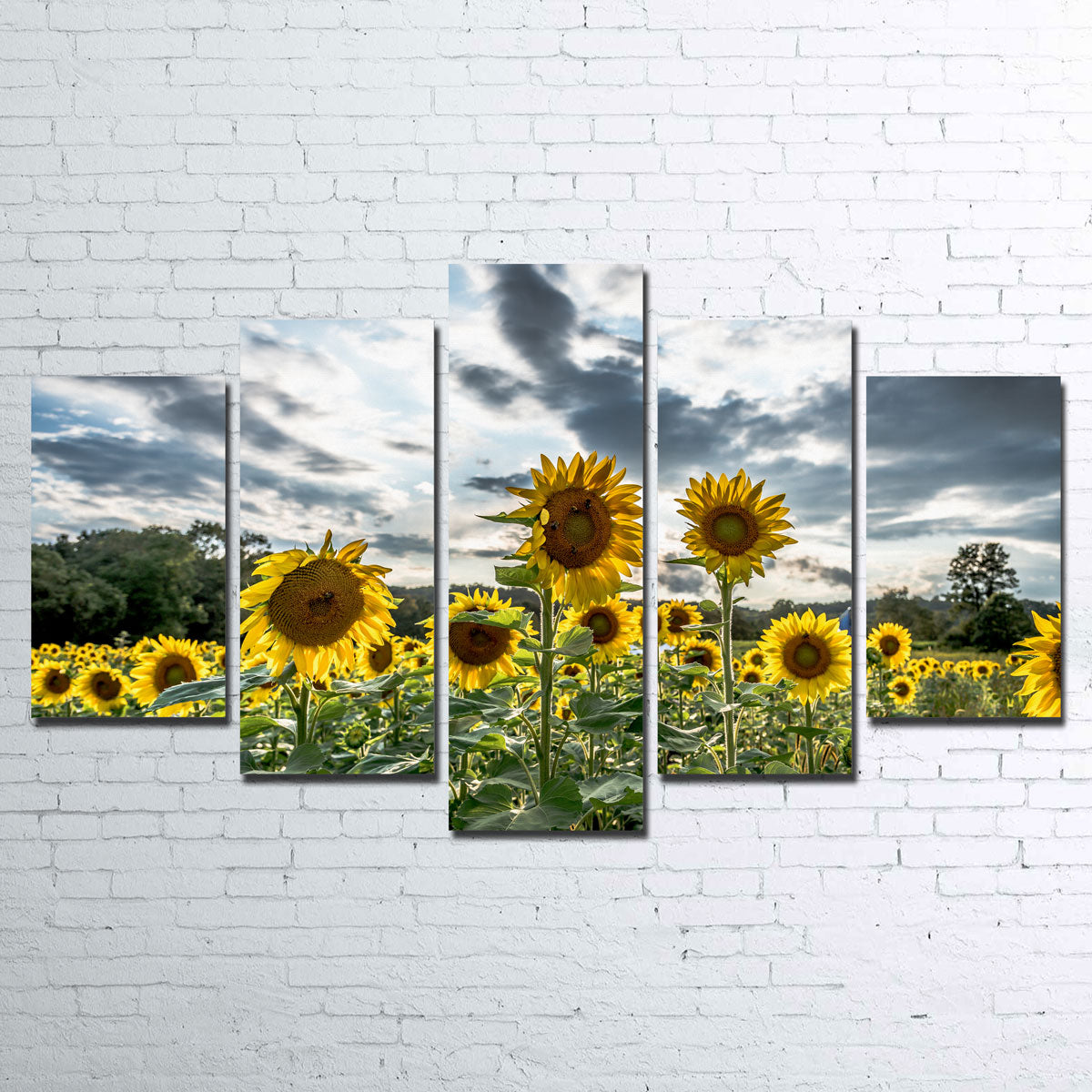 Sunflowers Wall Art