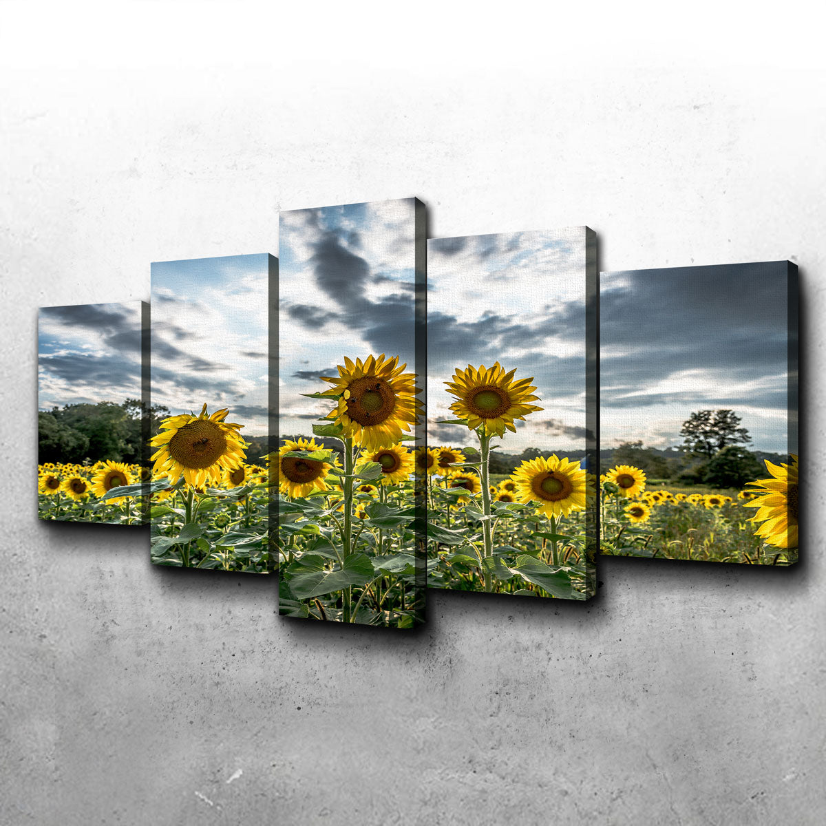 Sunflowers Wall Art