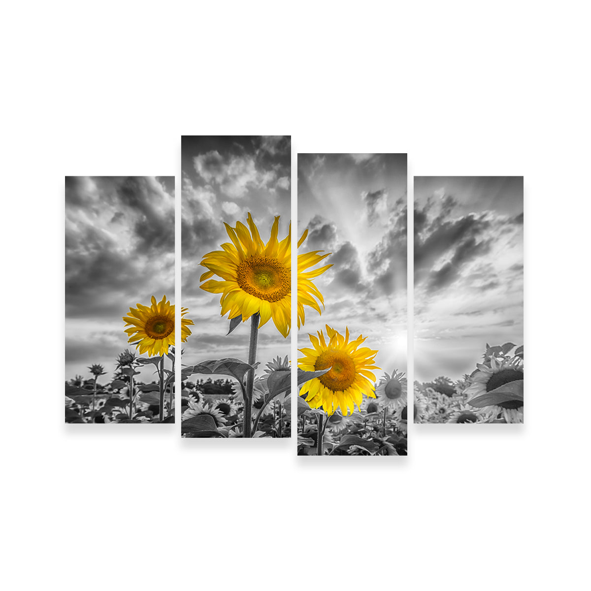 Sunflowers Yellow Color Pop Wall Art