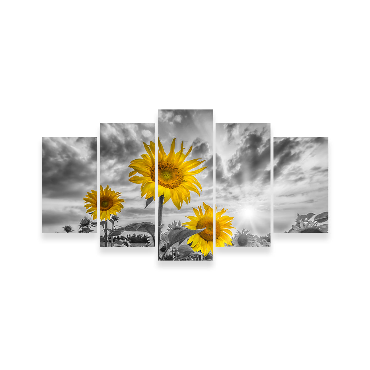 Sunflowers Yellow Color Pop Wall Art
