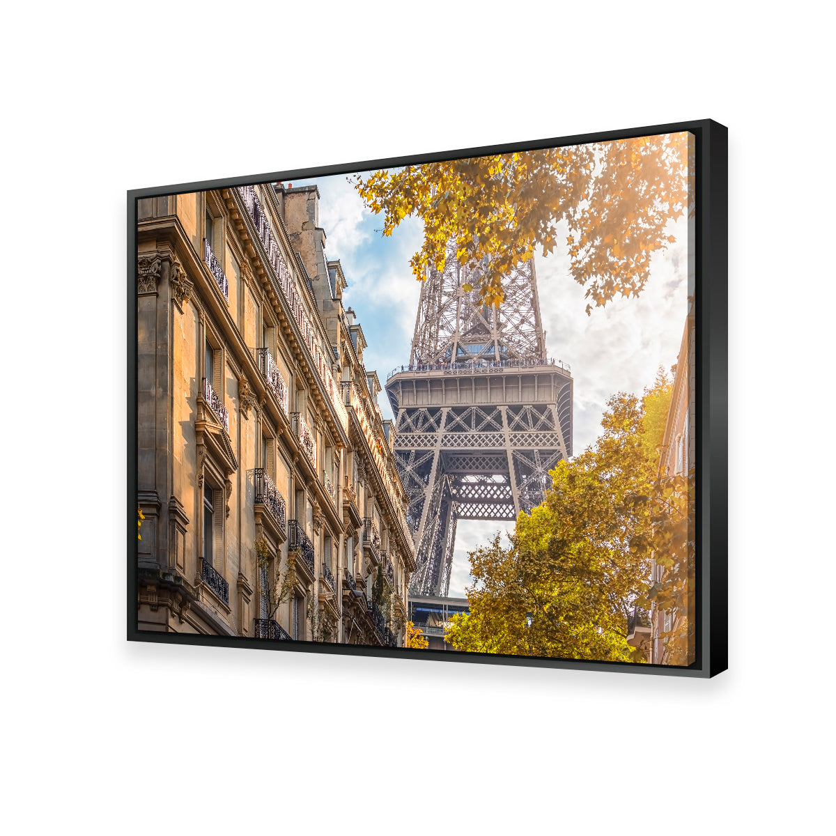 Sunlight In Paris Wall Art